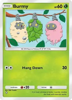 Burmy 9