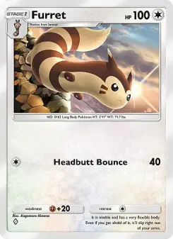 Furret 129