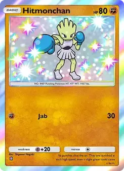 Hitmonchan 219