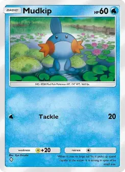 Mudkip 33