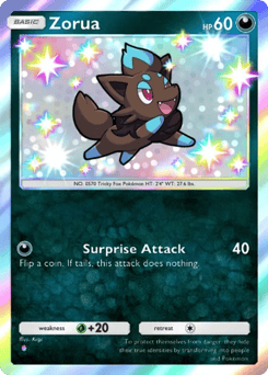 Zorua 102