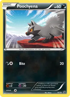 Poochyena 16