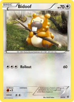 Bidoof 29