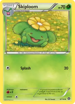 Skiploom 4
