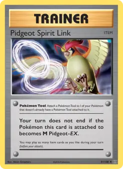 Pidgeot Spirit Link 81