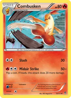 Combusken 13