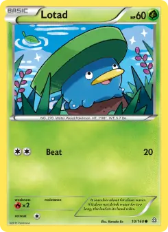 Lotad 10