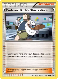 Professor Birch's Observations 134