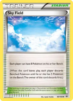 Sky Field 89
