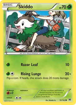 Skiddo 16