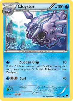 Cloyster 24