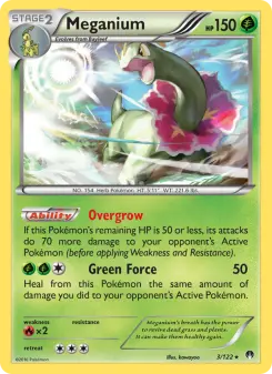 Meganium 3