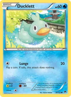 Ducklett 36
