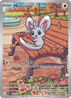 Minccino 152