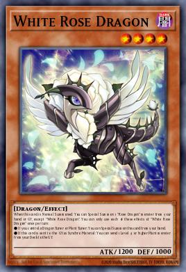 White Rose Dragon 4