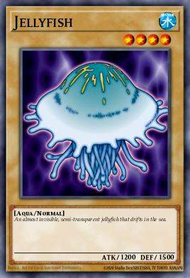 Jellyfish 072