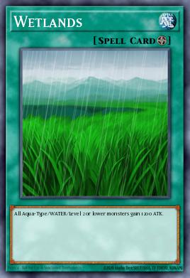 Wetlands 054