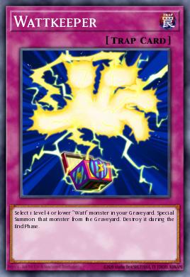 Wattkeeper 074