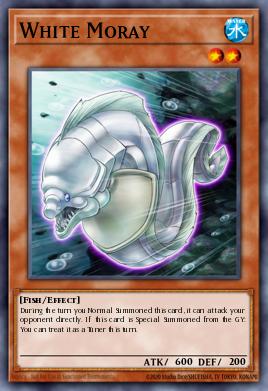 White Moray 018