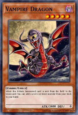 Vampire Dragon 081