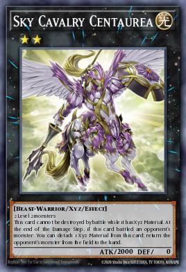 Sky Cavalry Centaurea 052