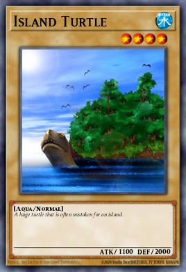 Island Turtle 095