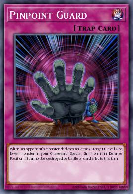 Pinpoint Guard LTGY-EN069