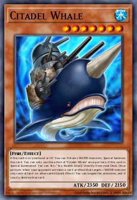 Citadel Whale LEDU-EN016