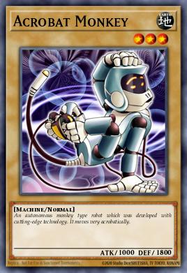 Acrobat Monkey 003