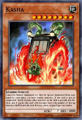 Kasha ANPR-EN098