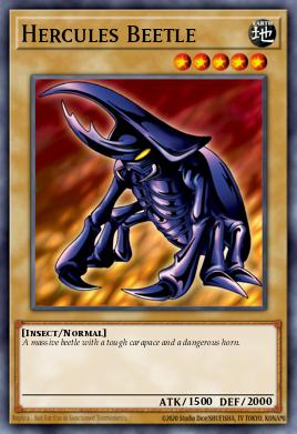Hercules Beetle TP1-025