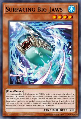 Surfacing Big Jaws ROTA-EN001