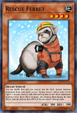 Rescue Ferret COTD-EN029