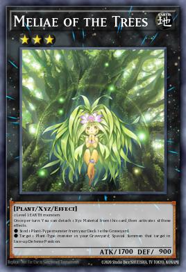 Meliae of the Trees SHSP-EN055