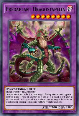 Predaplant Dragostapelia 094