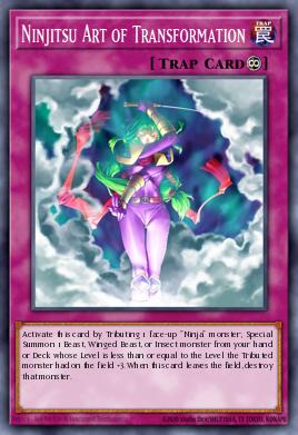 Ninjitsu Art of Transformation 052