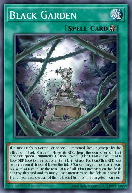 Black Garden 048