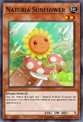 Naturia Sunflower 018