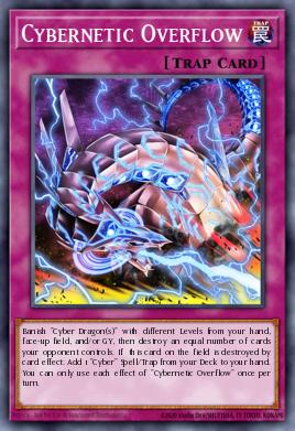 Cybernetic Overflow CYHO-EN073