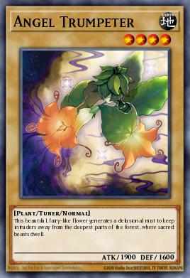 Angel Trumpeter 001