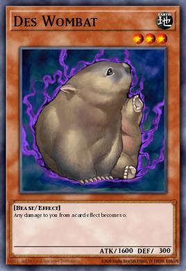 Des Wombat TLM-EN031