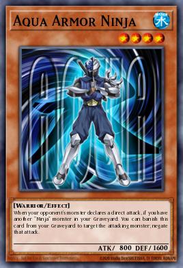 Aqua Armor Ninja 015