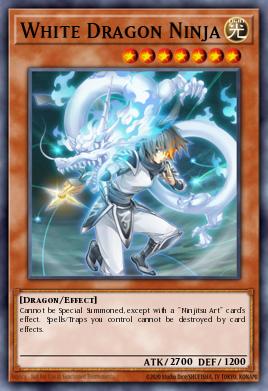White Dragon Ninja 084