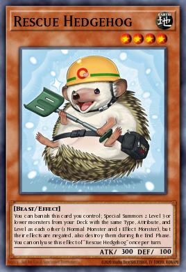 Rescue Hedgehog 097
